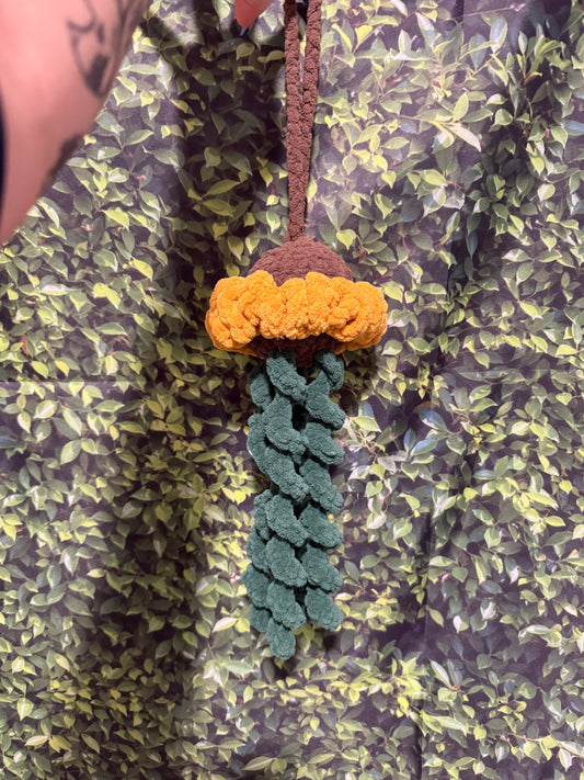 Sunflower jellyfish